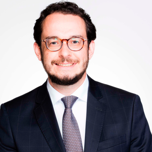 Prof. Luiz Fernando P. do Amaral